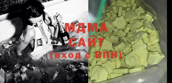 индика Алексин