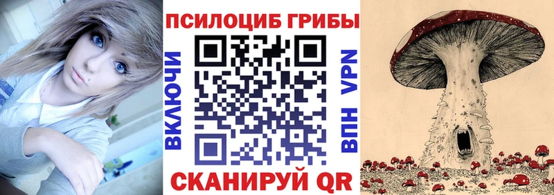 Псилоцибиновые грибы Cubensis  Иваново 
