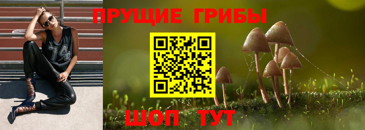 Псилоцибиновые грибы Magic Shrooms Иваново